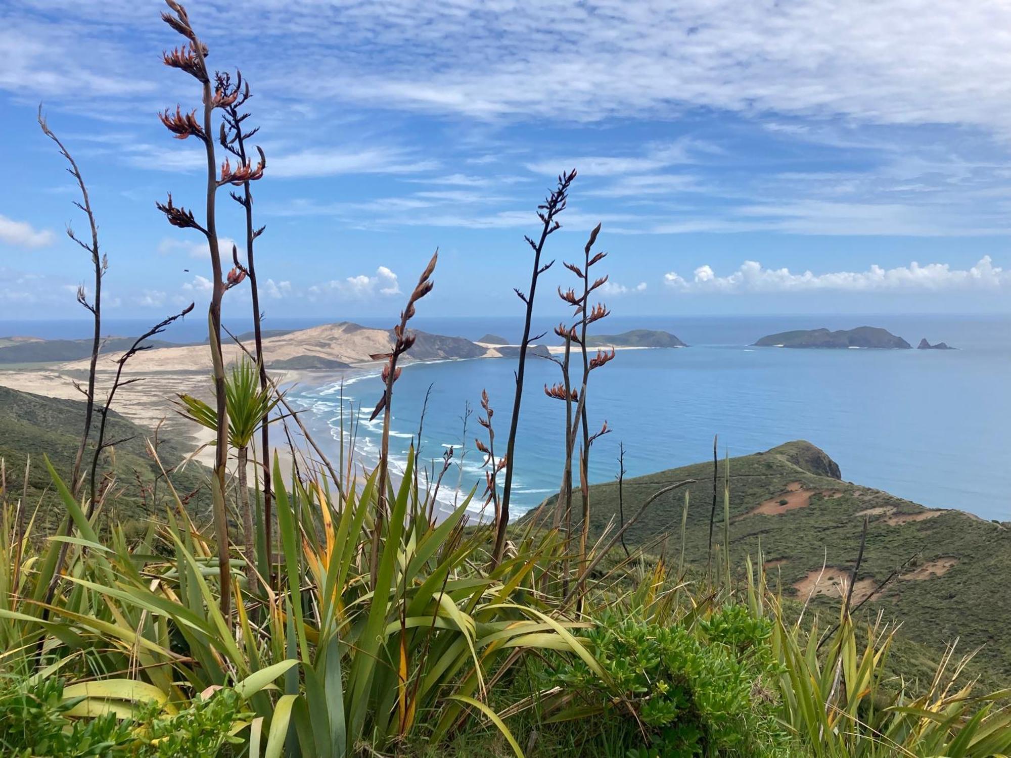 Vila Far North Panorama Kaingaroa Exteriér fotografie